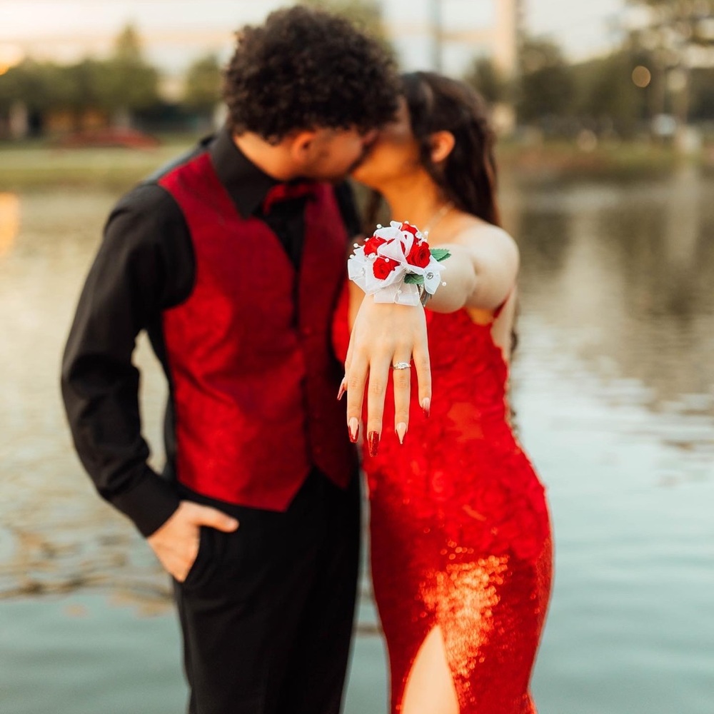 Prom Dress - Picture 1 of 3